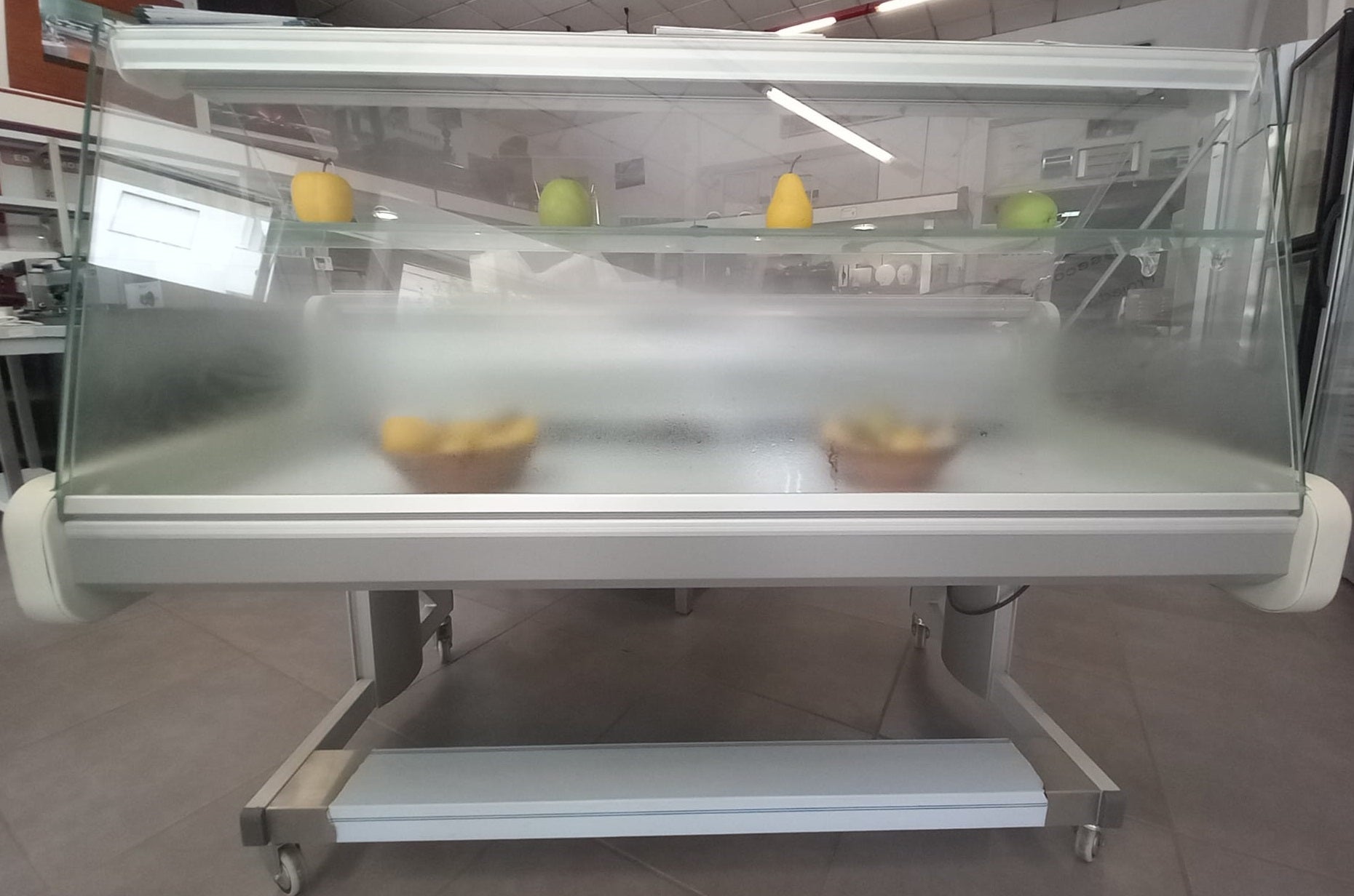 Vitrine Refrigeração de Peixe - FRILIXA