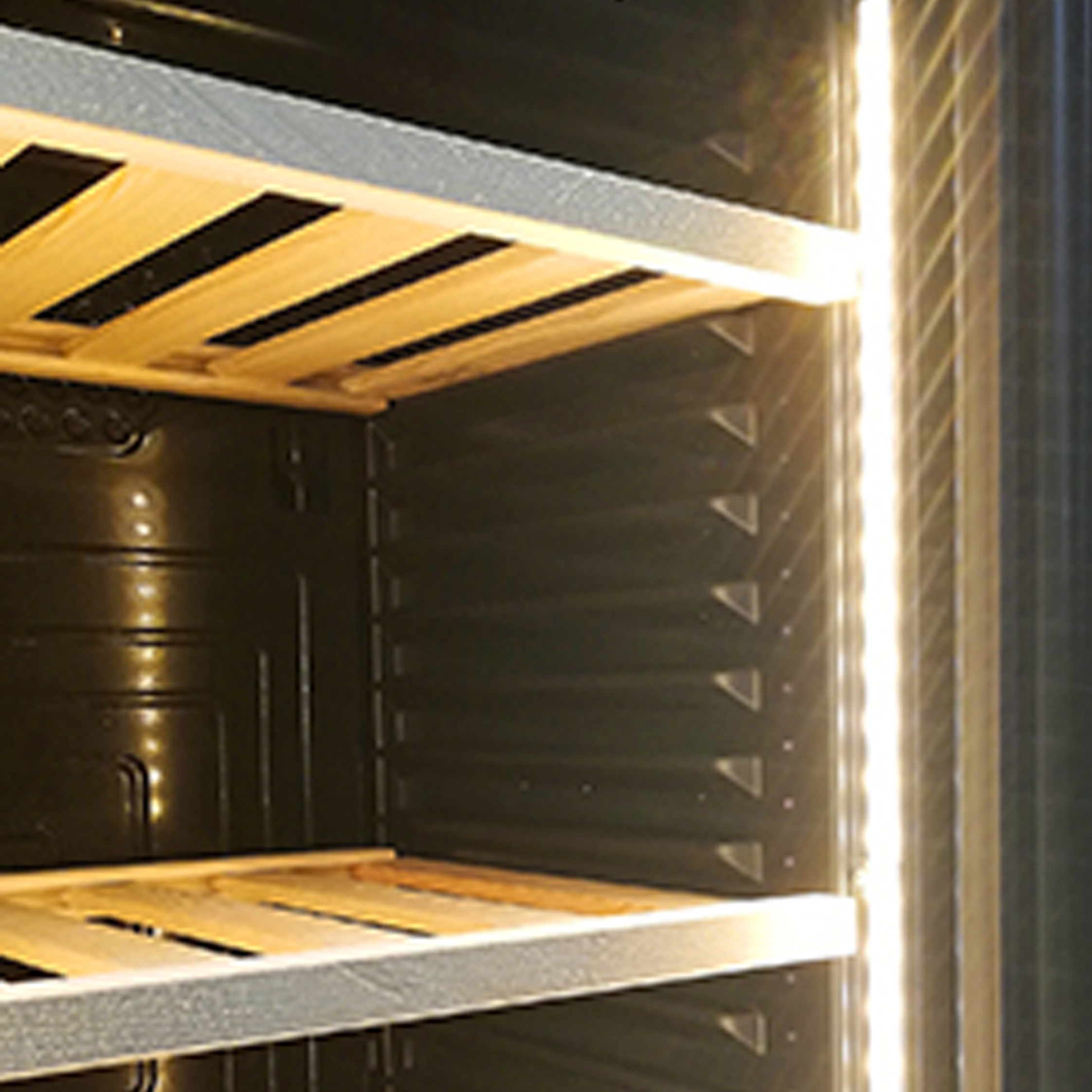 Armário Expositor de Vinhos - MAGNUS D 372 WIC ST